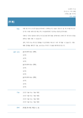 기능적 이력서(단순한 디자인)